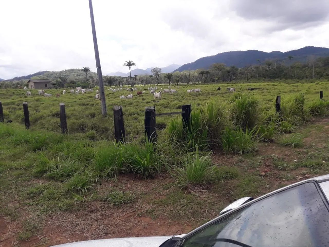 Vendo sítio na região da tatajuba - Foto 3