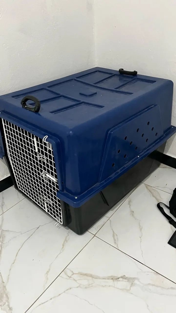 Caixa de Transporte Pet N6 - Foto 2