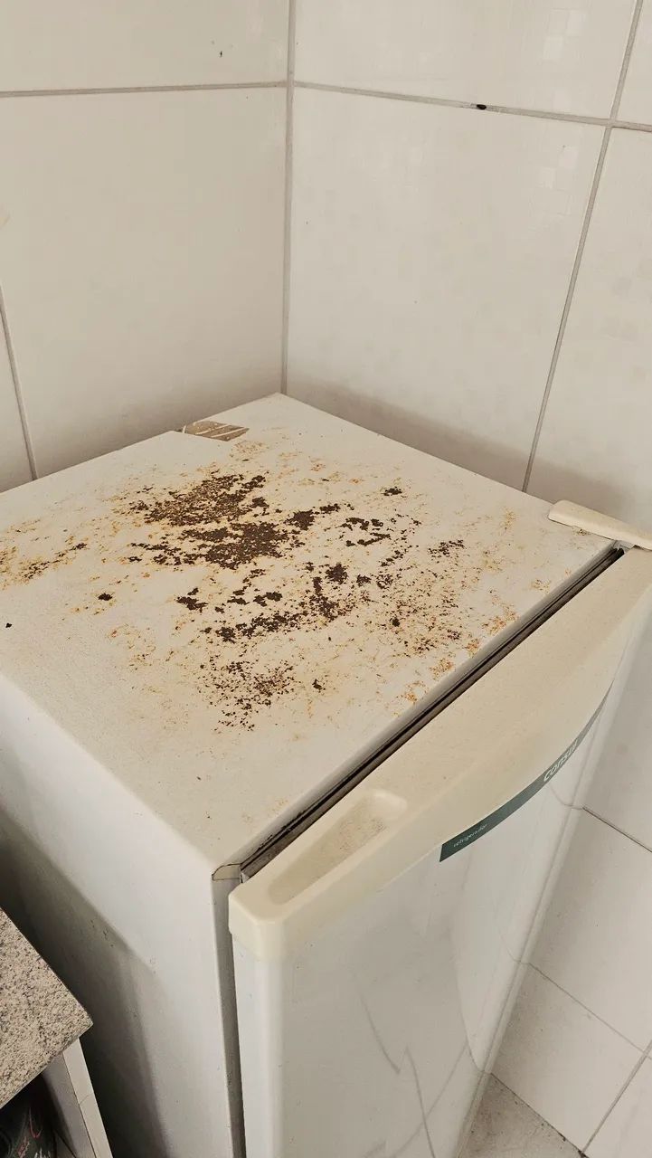 Geladeira Consul CRA30FB 261L Degelo Seco - Foto 5