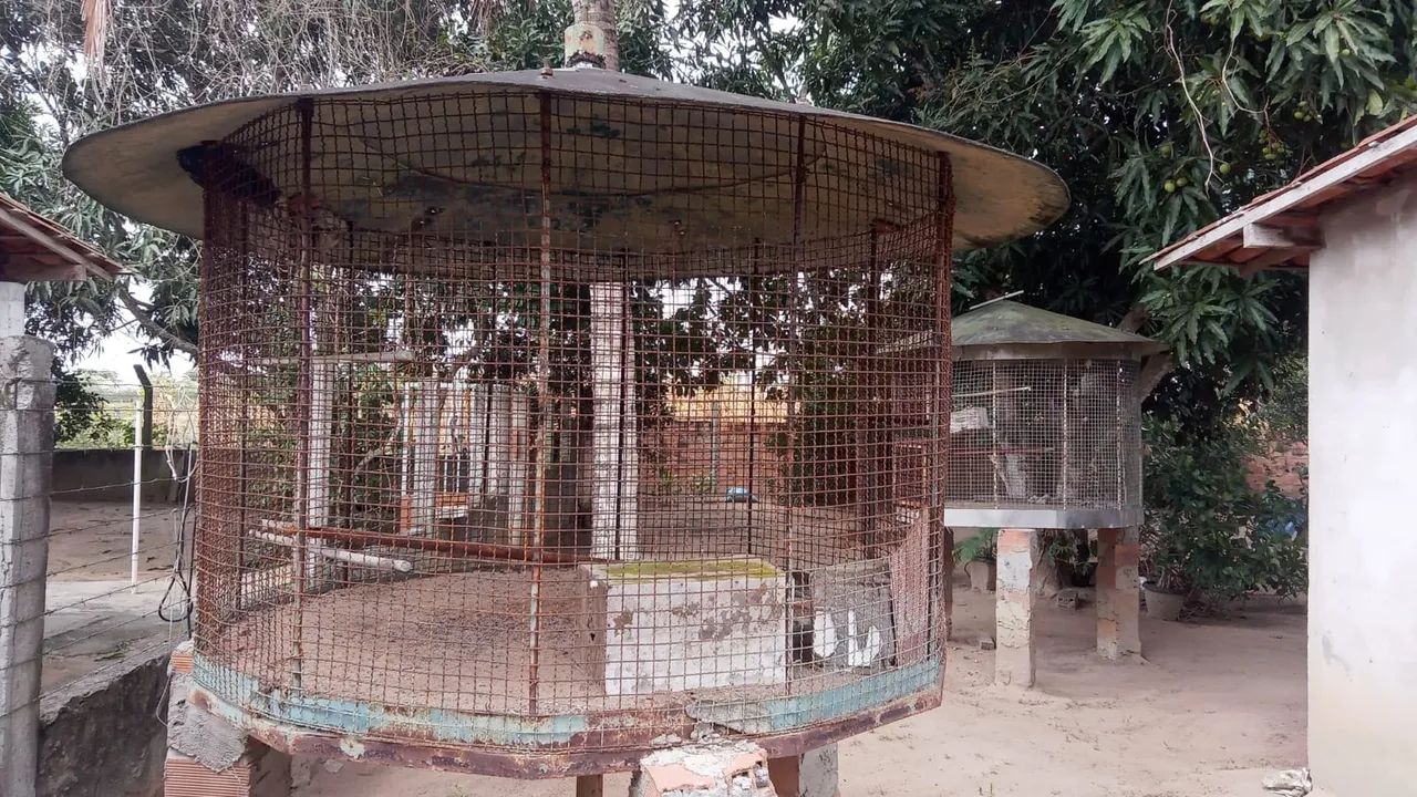 Gaiola grande para aves  - Foto 2