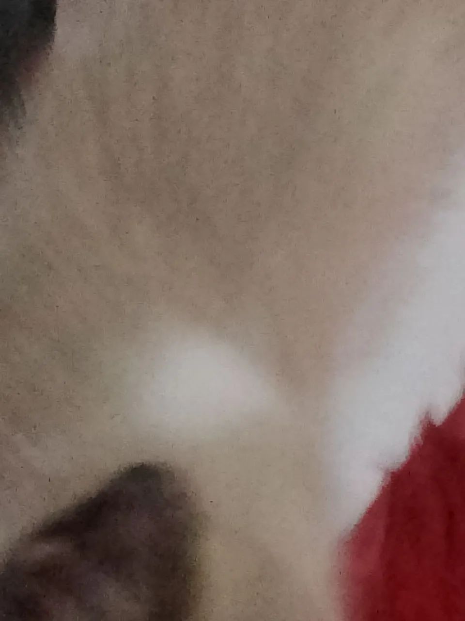Gatinha - Foto 4