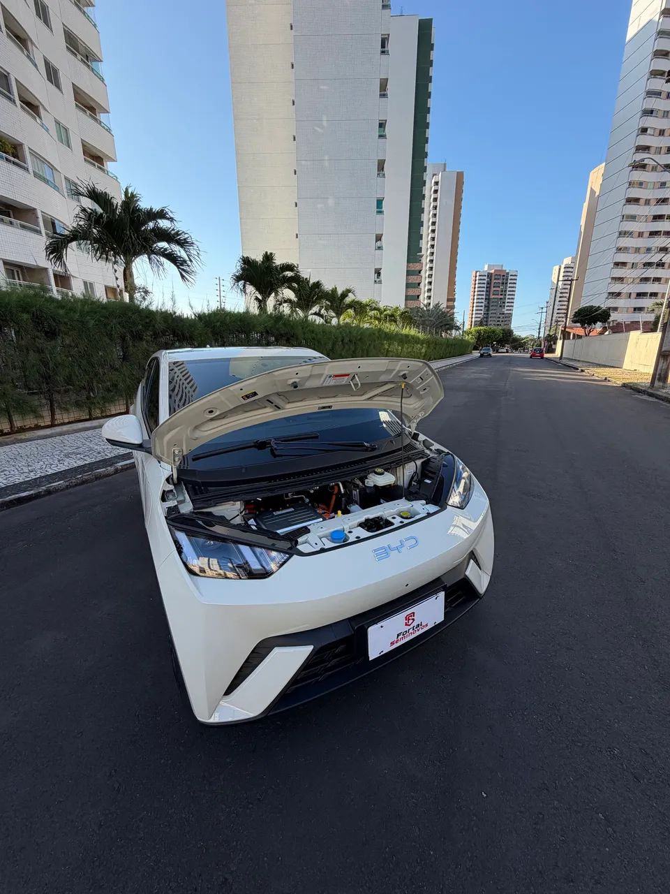 BYD Dolphin Mini (Elétrico) 2027 - Foto 5
