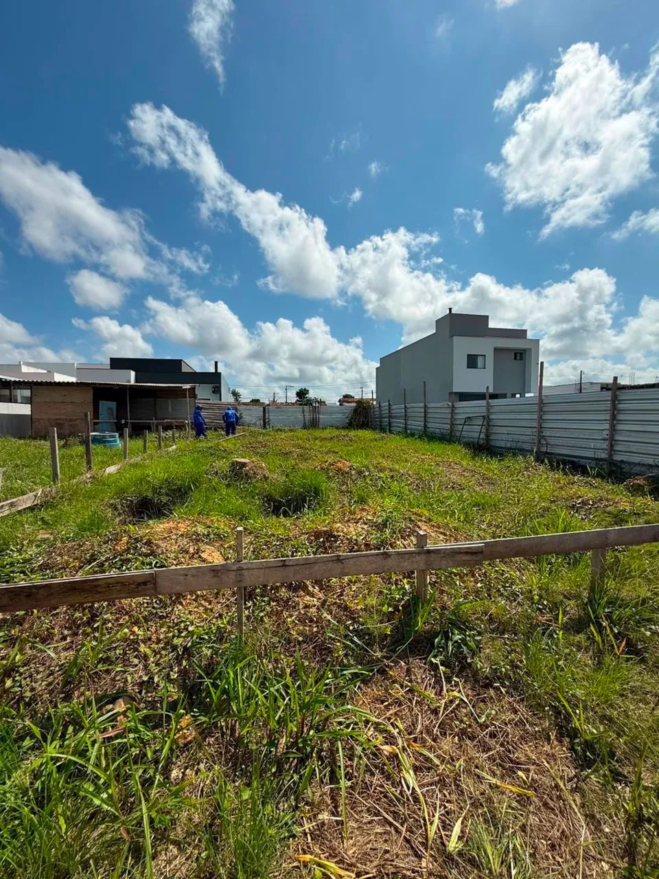 LOTE GRAN PARAÍSO 
