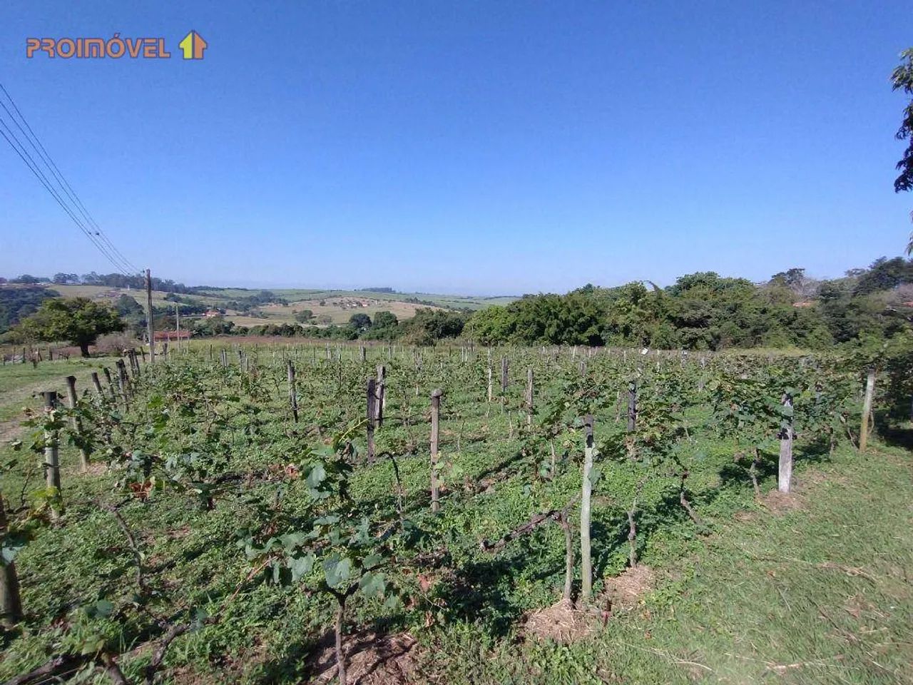 Sítio, Região Rural de Salto SP - Foto 4