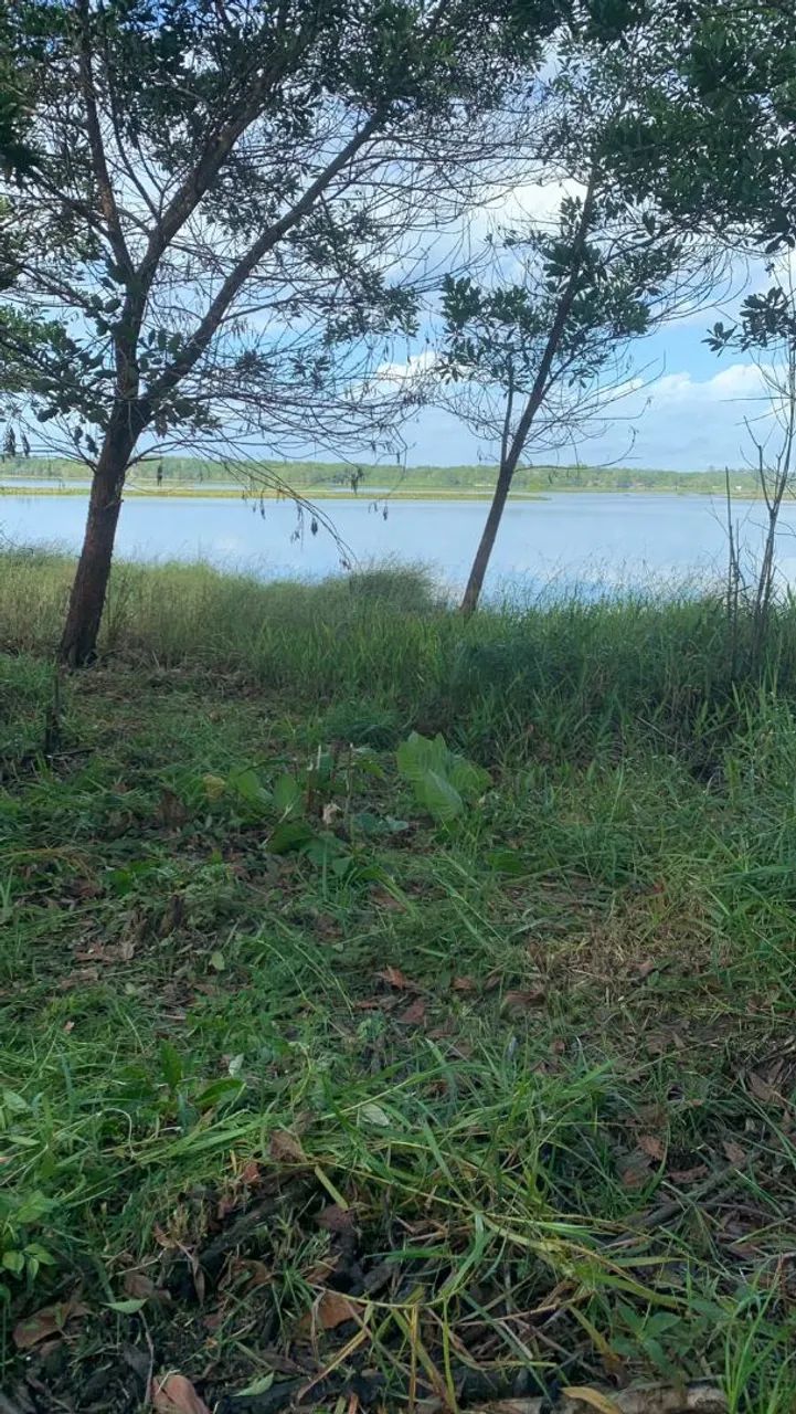 Terreno em porto grande  - Foto 3