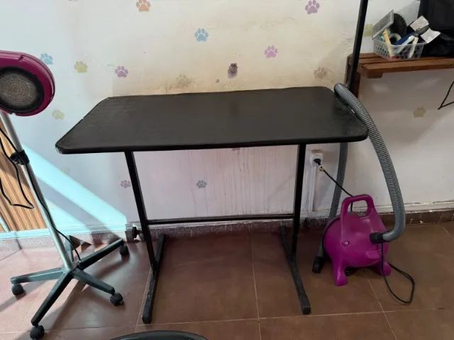 BANHO E TOSA - Foto 4