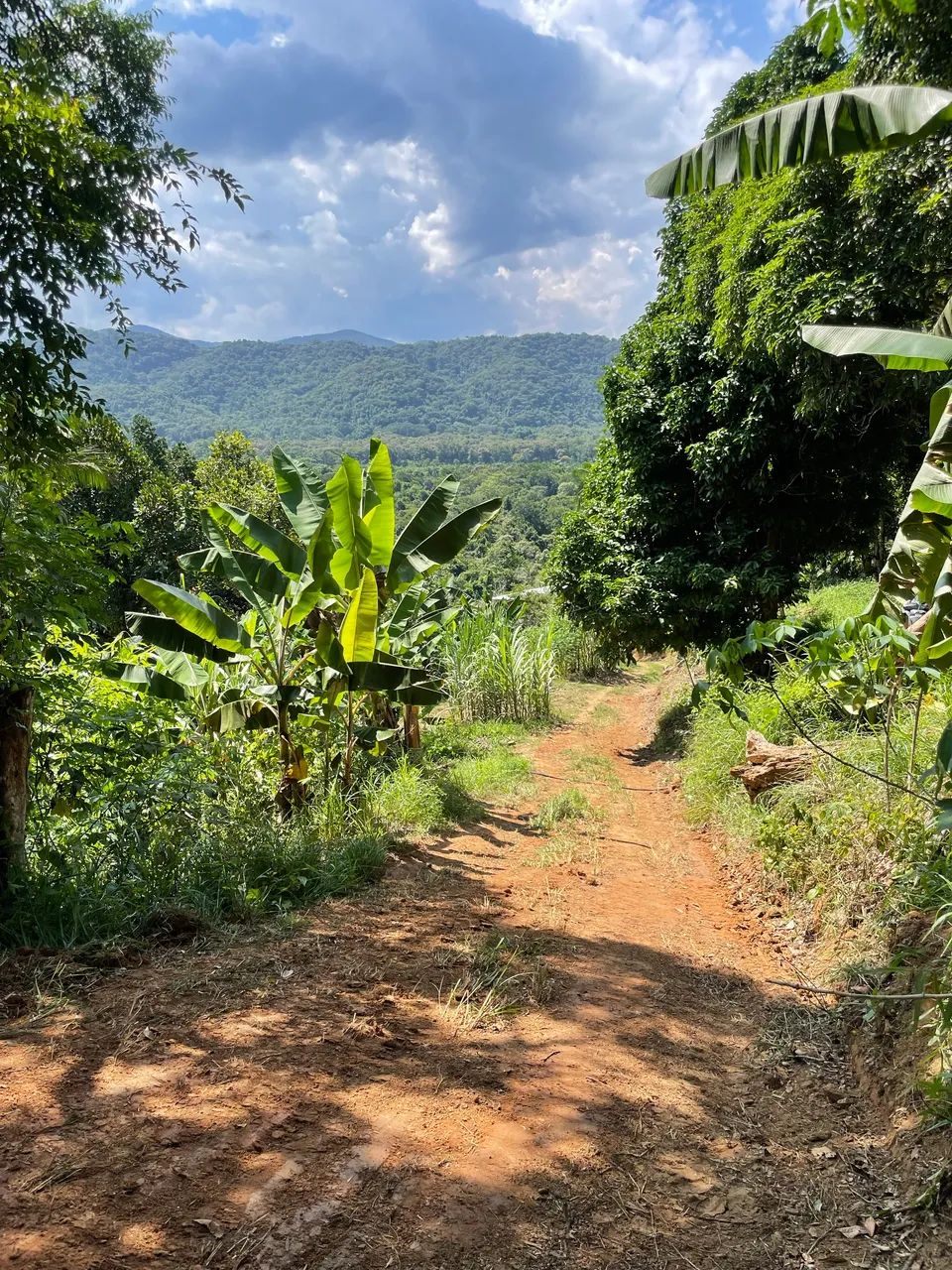 Chácara a venda Miracatu/SP - Foto 5
