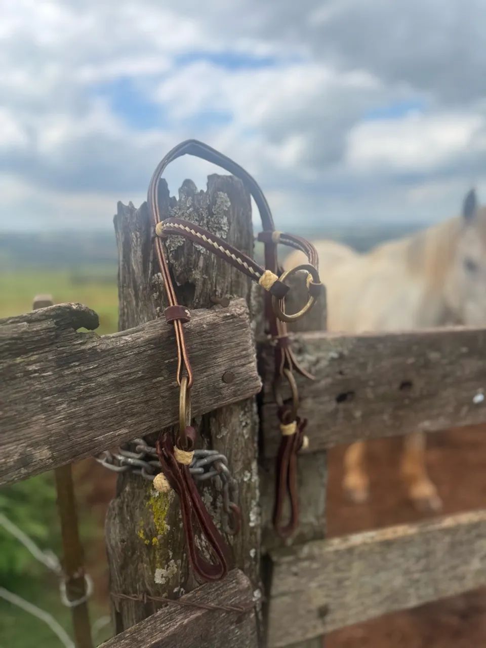 Traia de cavalo - Foto 2