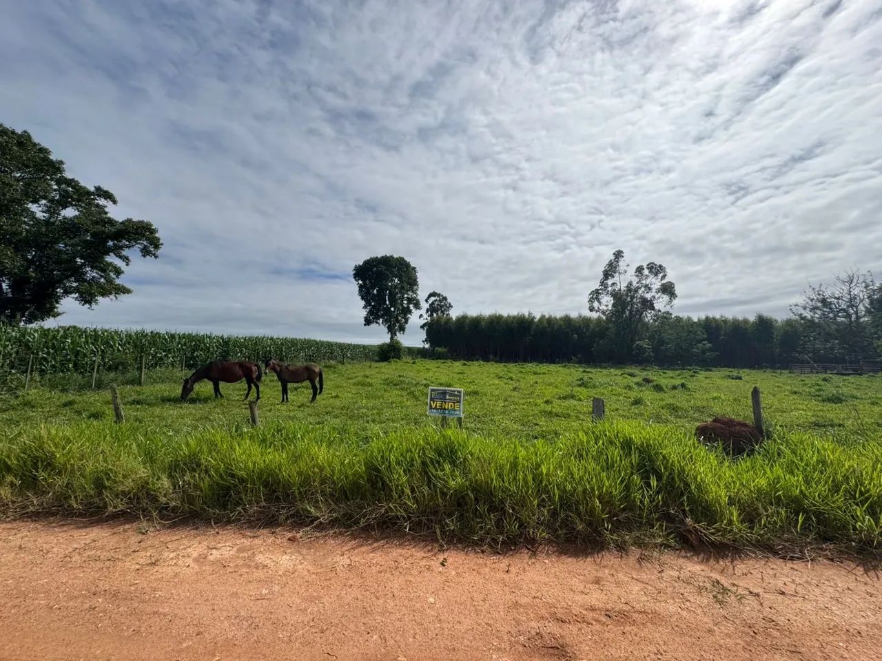 Foto - Pilar do Sul - 