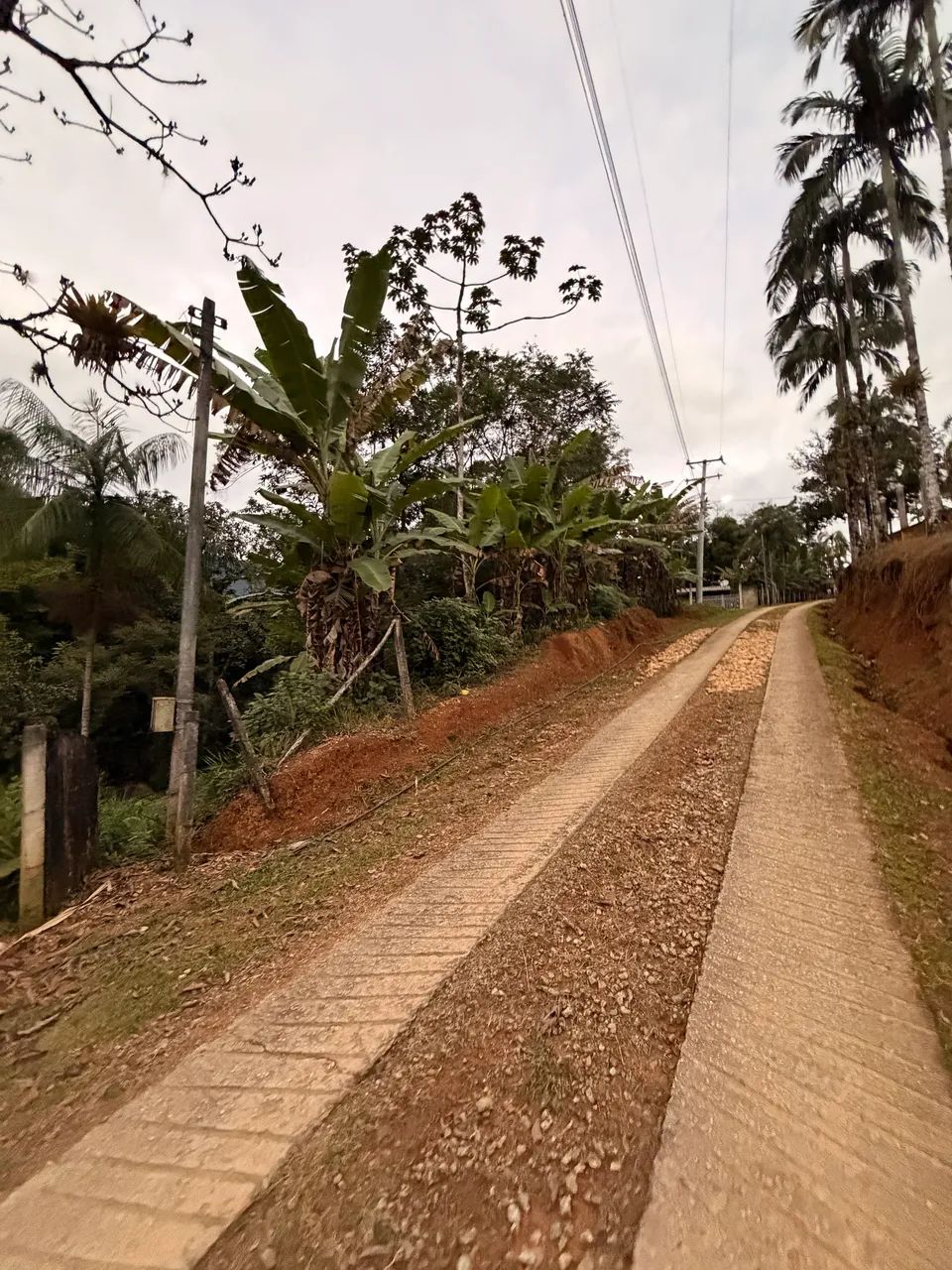 TERRENO MORRETES pr - Foto 3