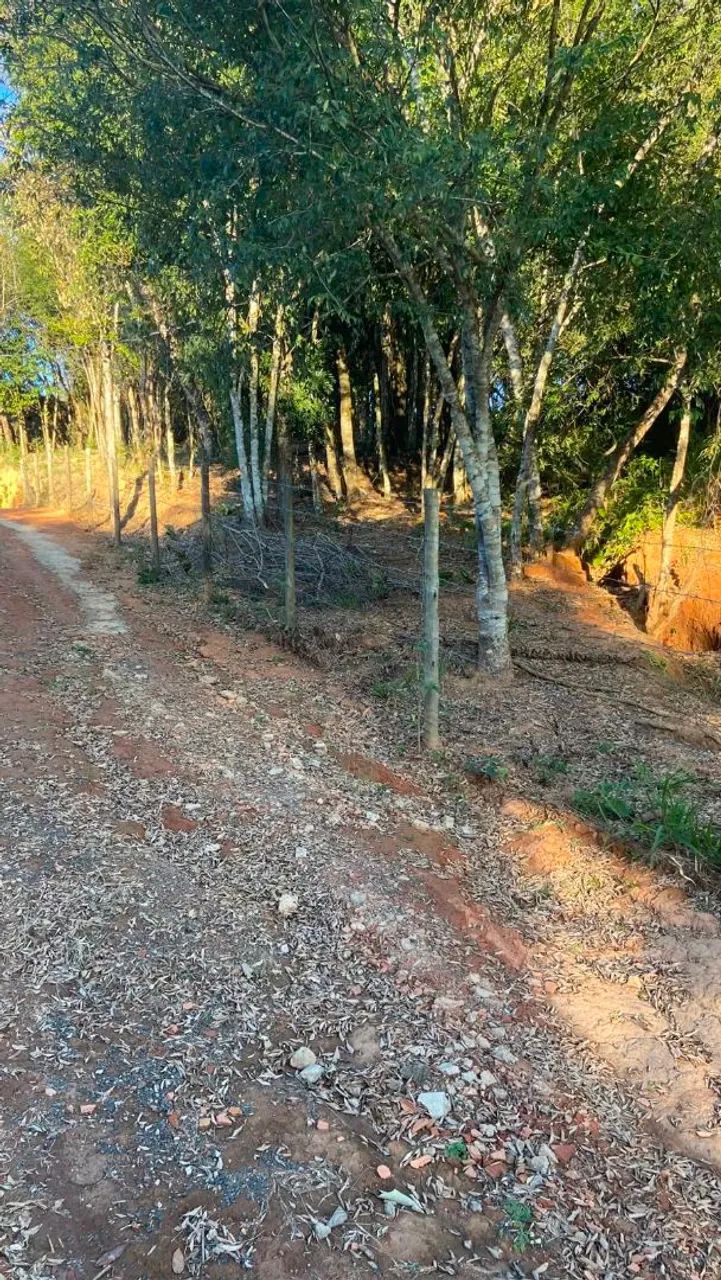 Chácara a venda inconfidentes/MG  - Foto 2