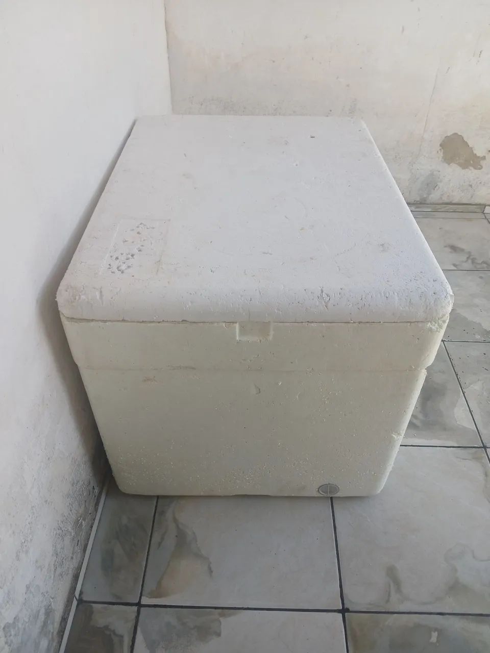 Insulated Cooler for Perishables427577042472151041