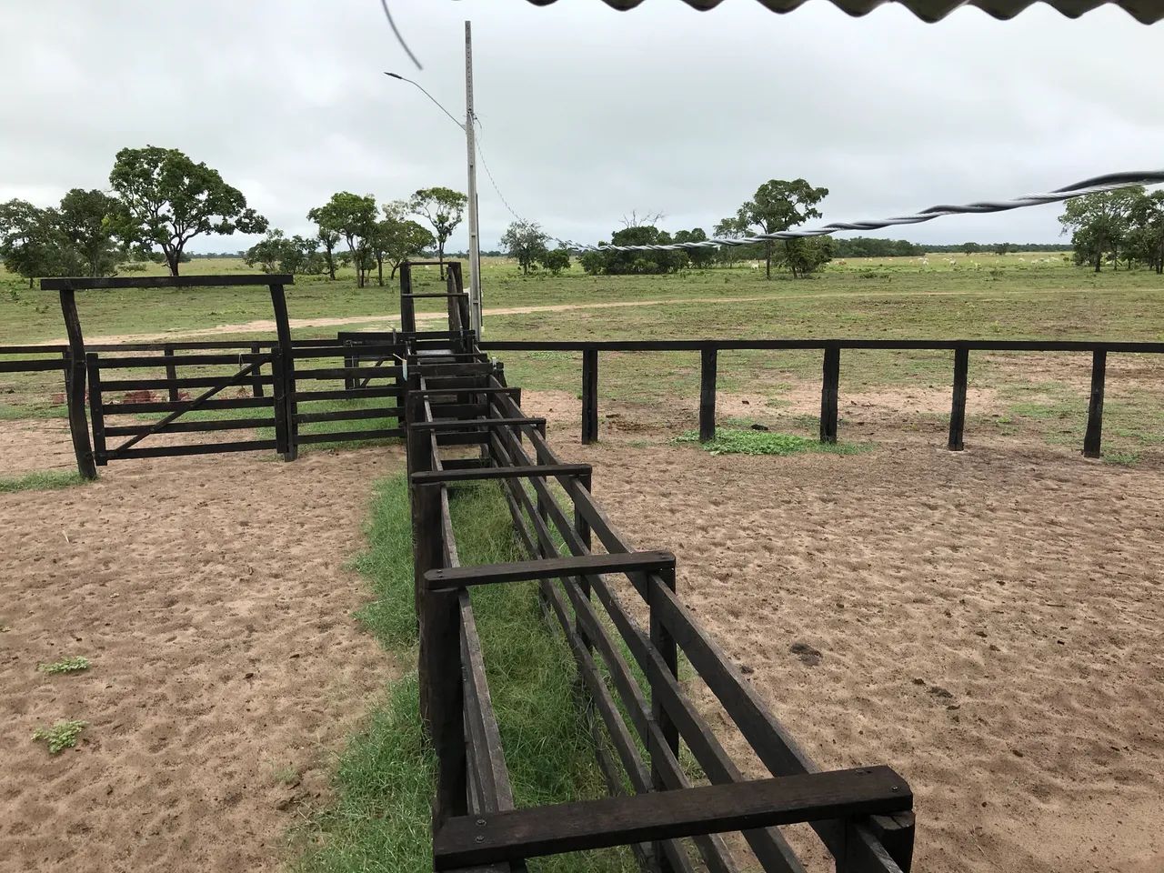 Fazenda para 800 vacas - Cria e Recria - Foto 2