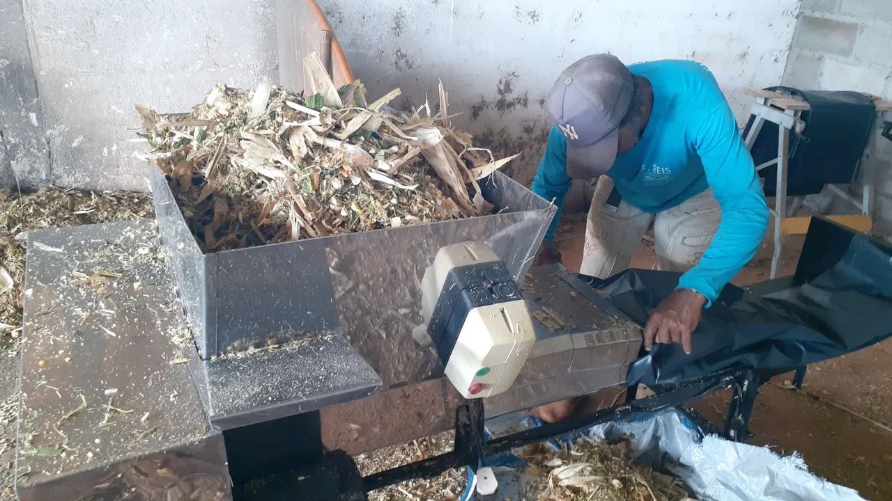 Silagem Premium Capim/Milho e Milho - Foto 5