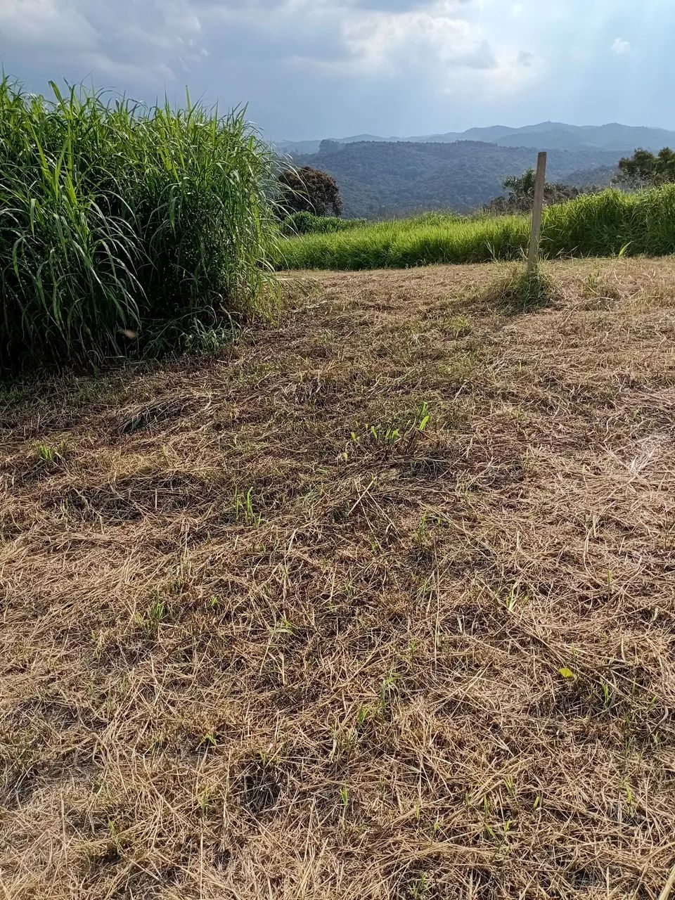 Foto - São Lourenço da Serra - 