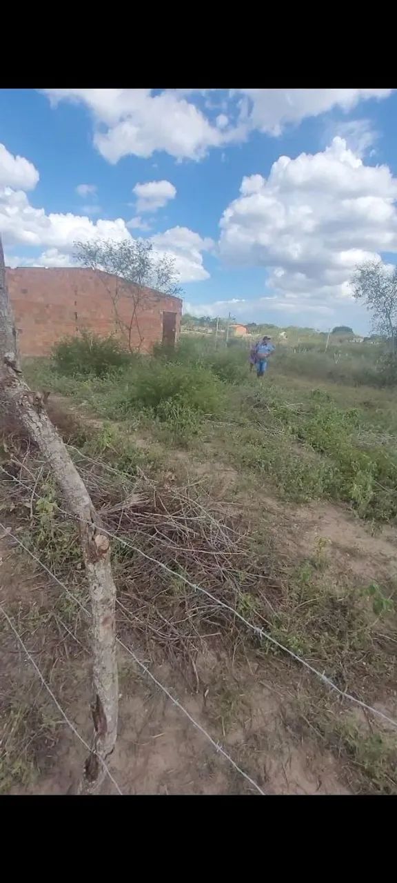 Terreno - Foto 4