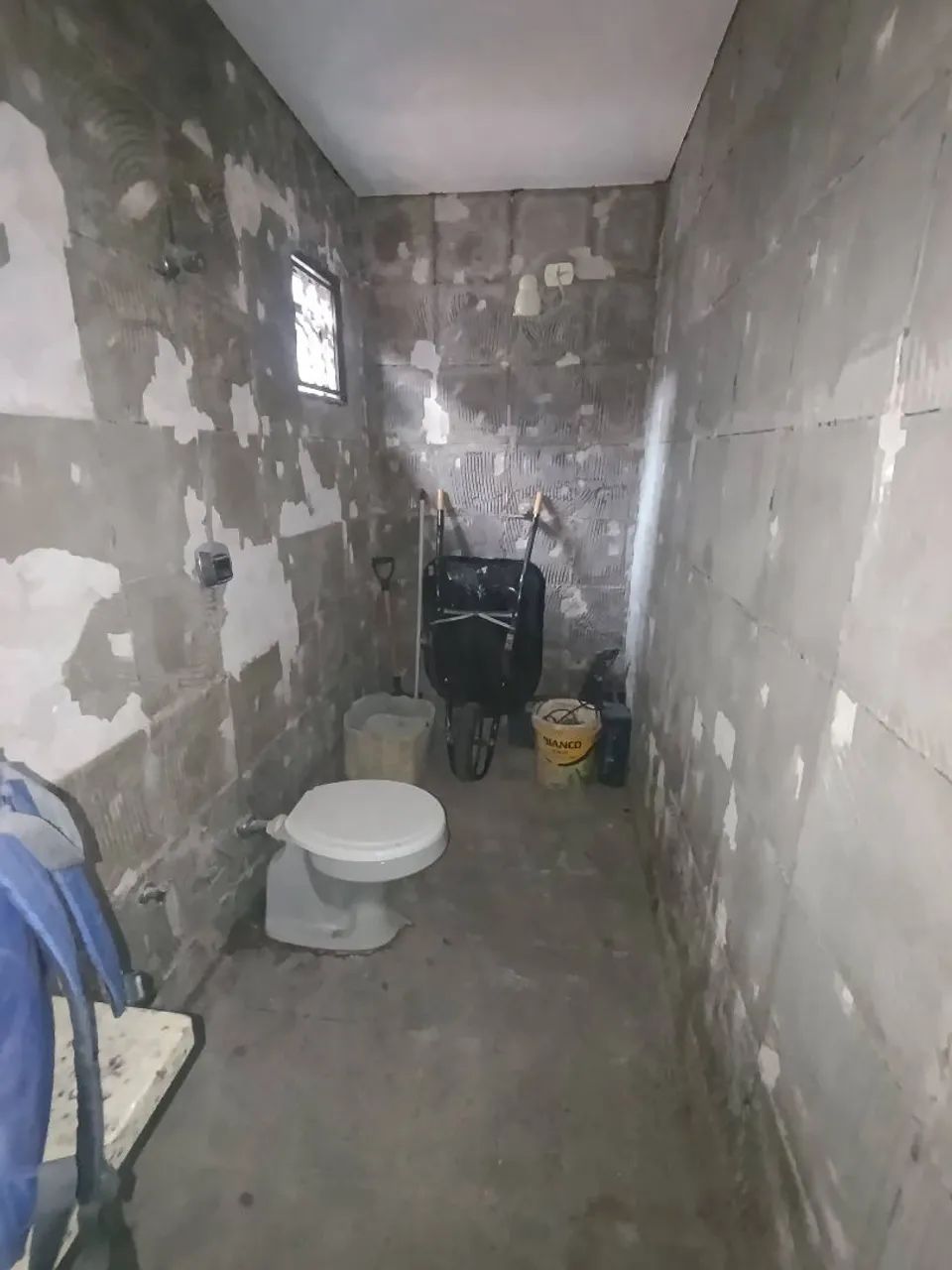 Azulejista  - Foto 2