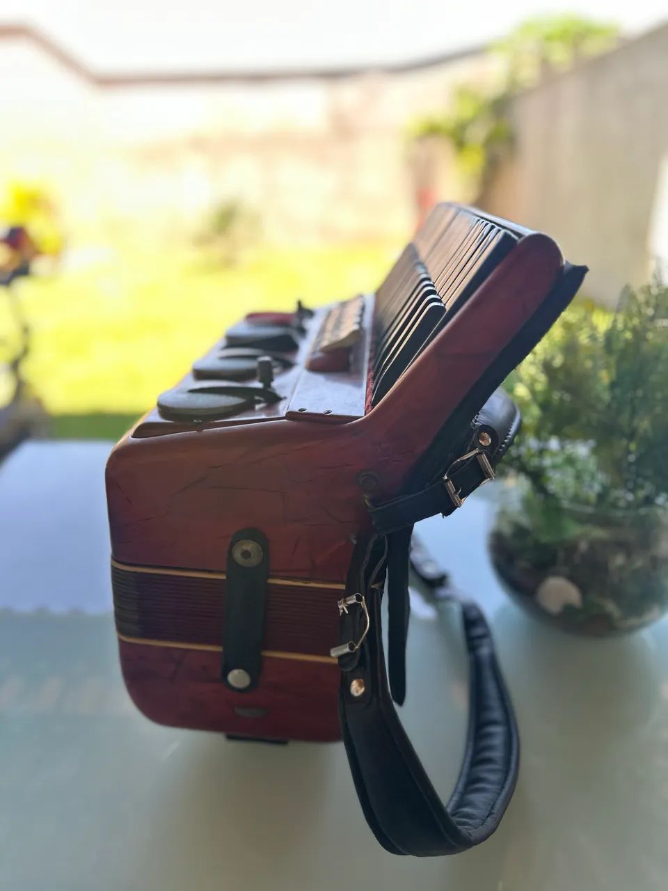 Sanfona - Foto 3