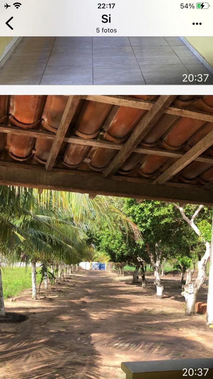 SÍTIO EM PILAR COM ÁREA PLANTADA E ESPAÇO PARA CRIAÇÃO DE ANIMAIS - Foto 4
