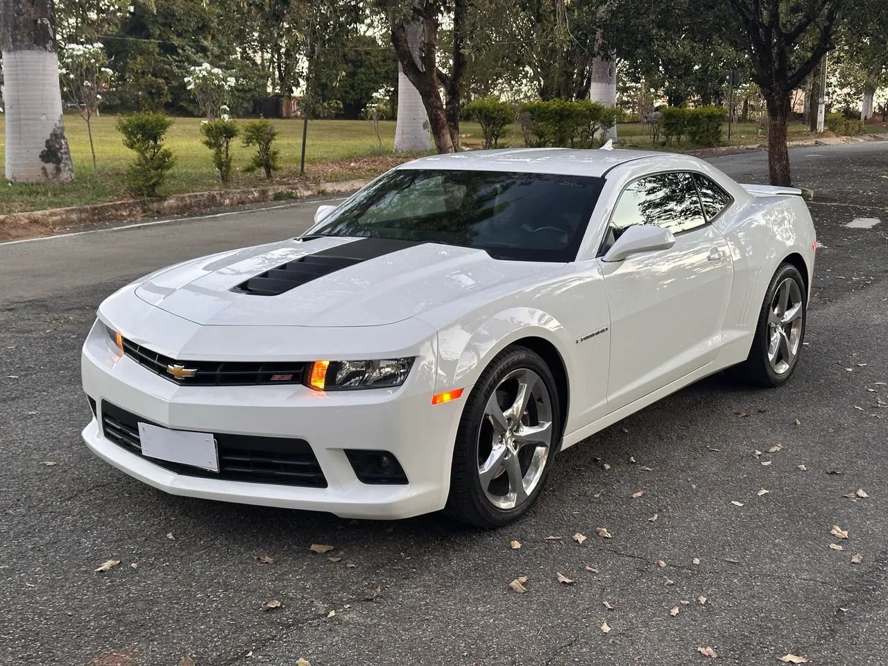 Chevrolet Camaro Camaro SS 6.2 V8 16V 2014