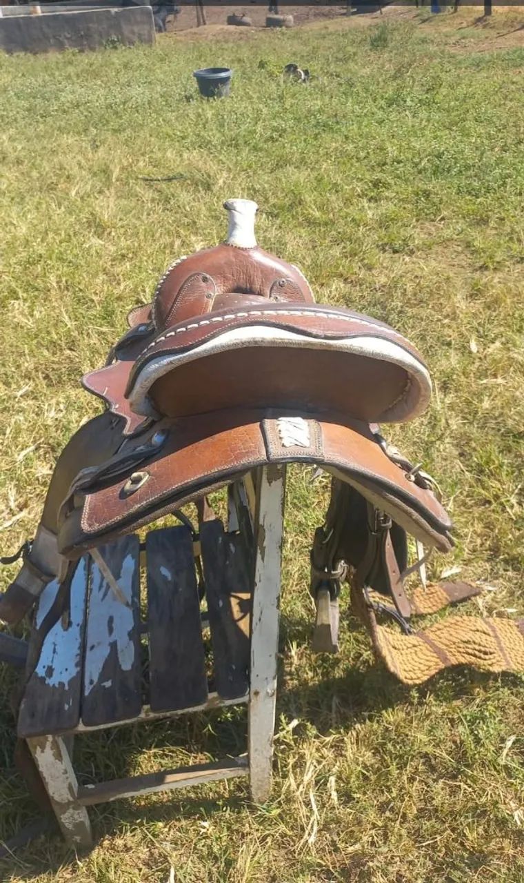 Sela de cavalo  - Foto 2