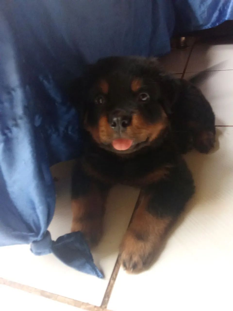 Vendo - Foto 4