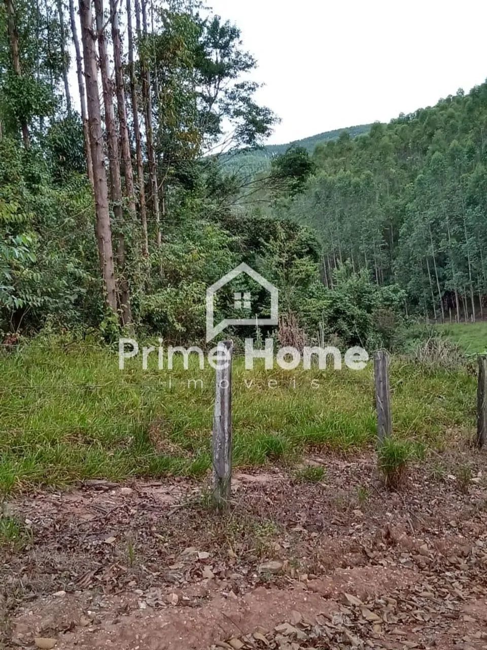 fazenda - Jacutinga - Jacutinga - Foto 2
