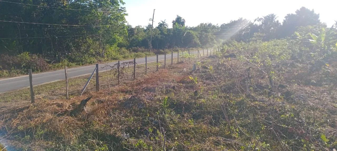 Verde-se uma lindo sítio  - Foto 4
