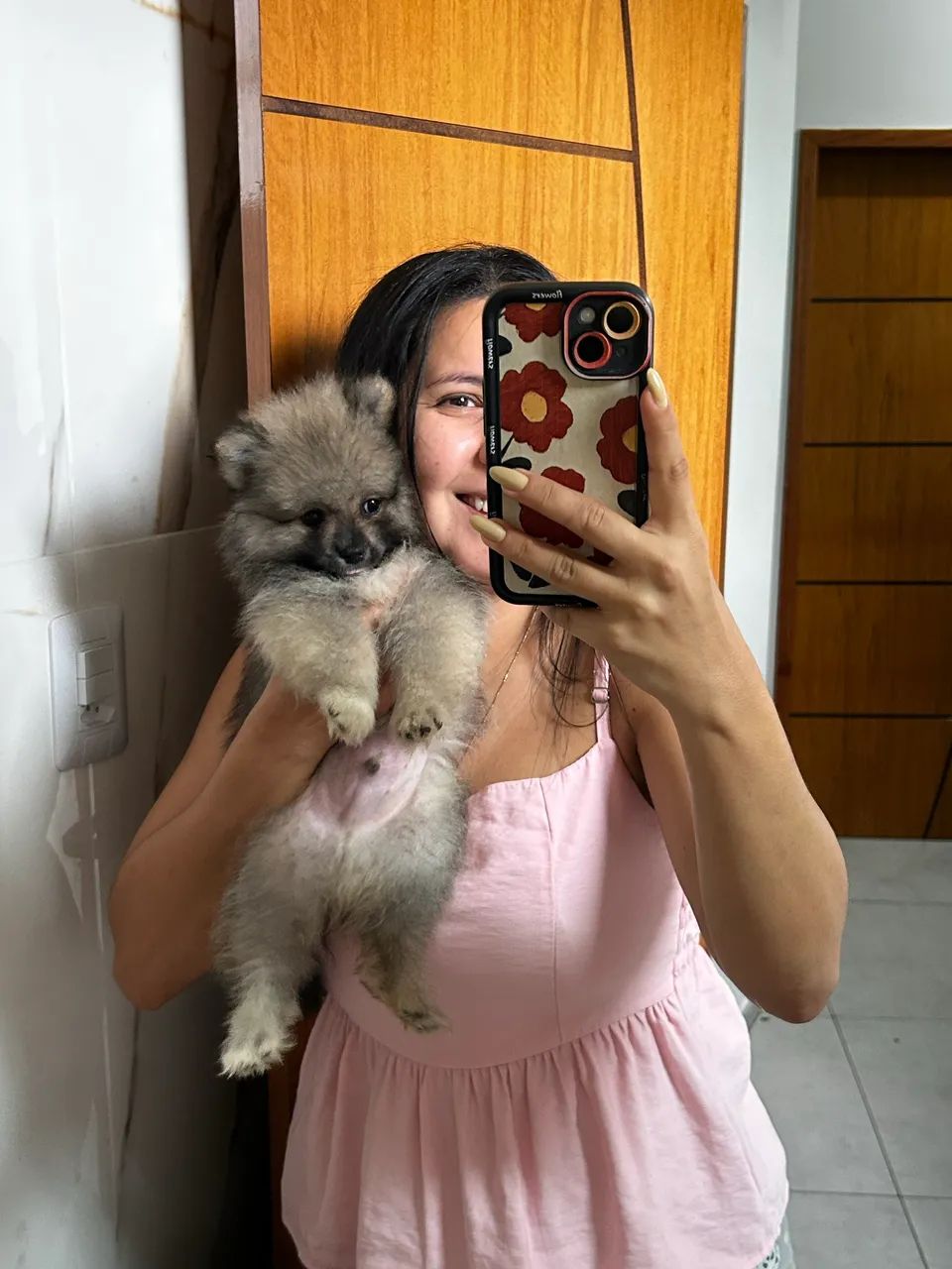 Spitz alemão - Lulu - Cachorros - Centro, Campos dos Goytacazes