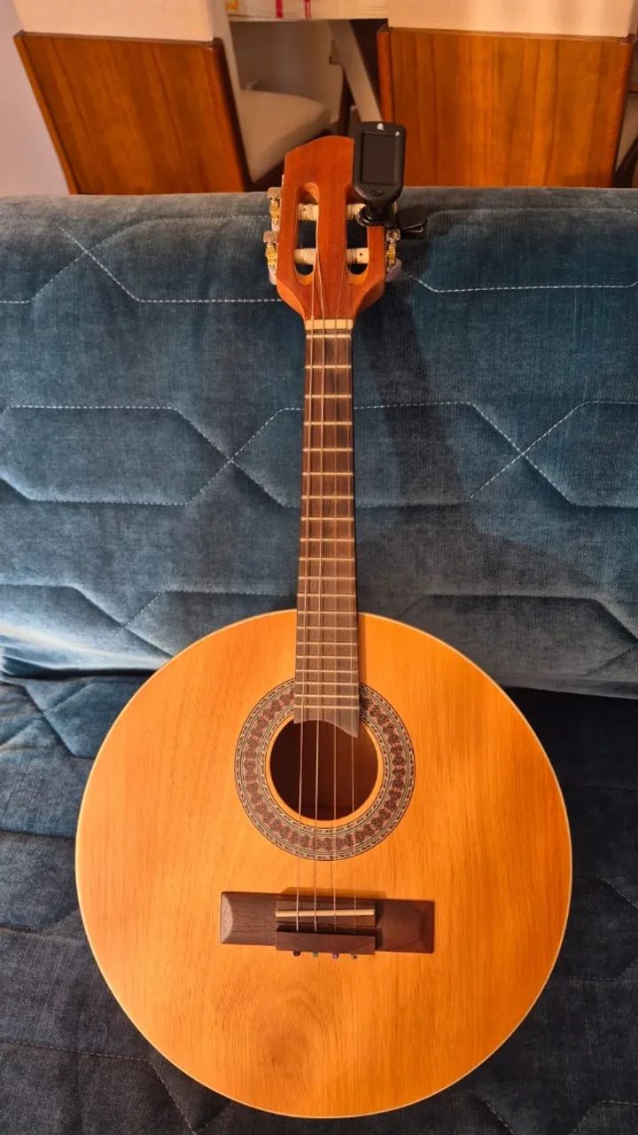 Cavaquinho Profissional 