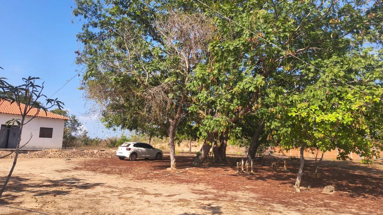 Sitio no povoado Itaguara, área rural de Timon  - Foto 2