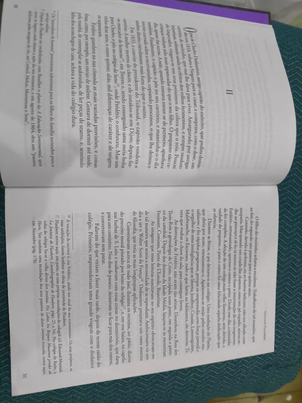 A Educação Sentimental  - Foto 4