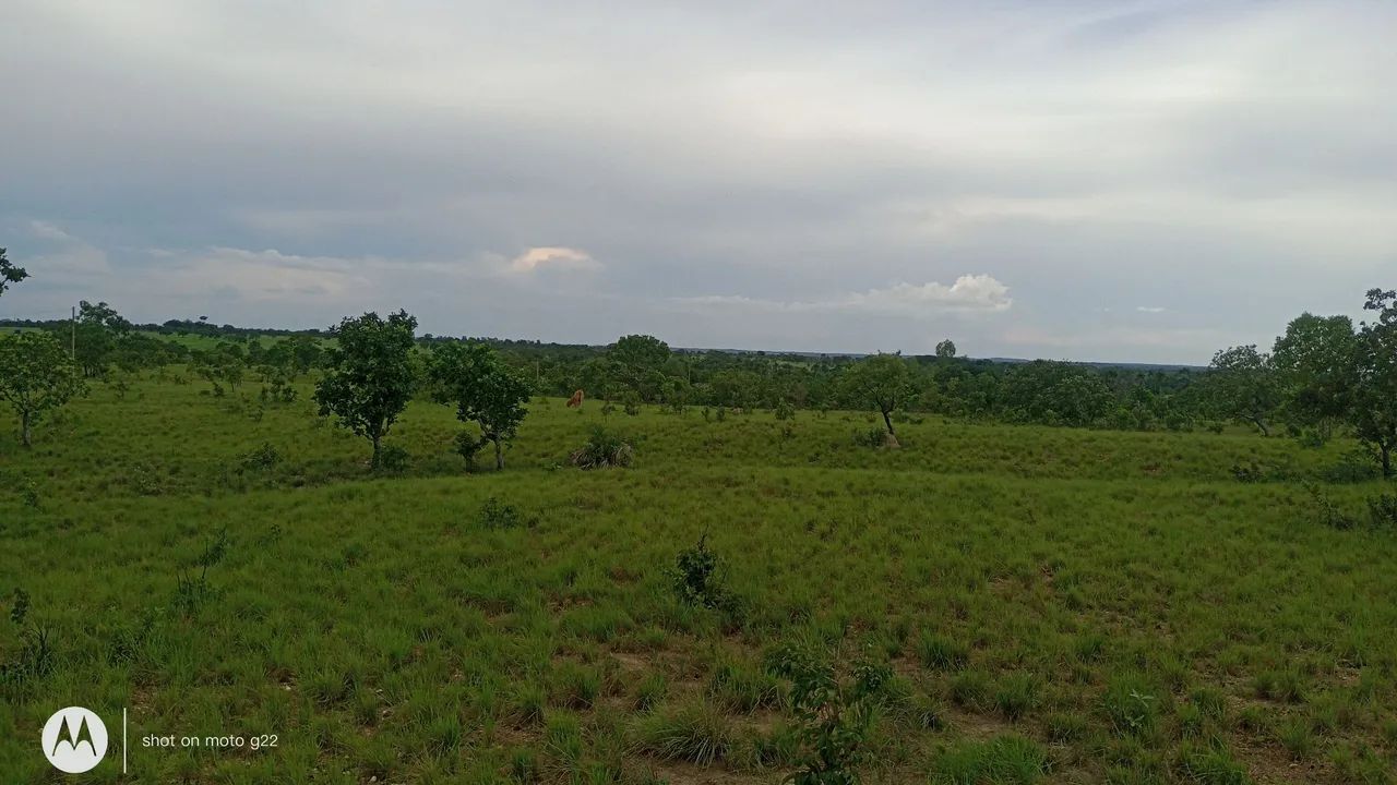 Não  - Foto 2