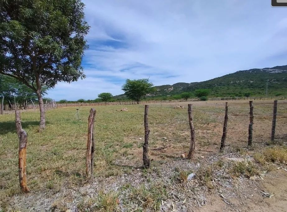 Imóvel Rural, 76ha, Sertânia/PE - Foto 2