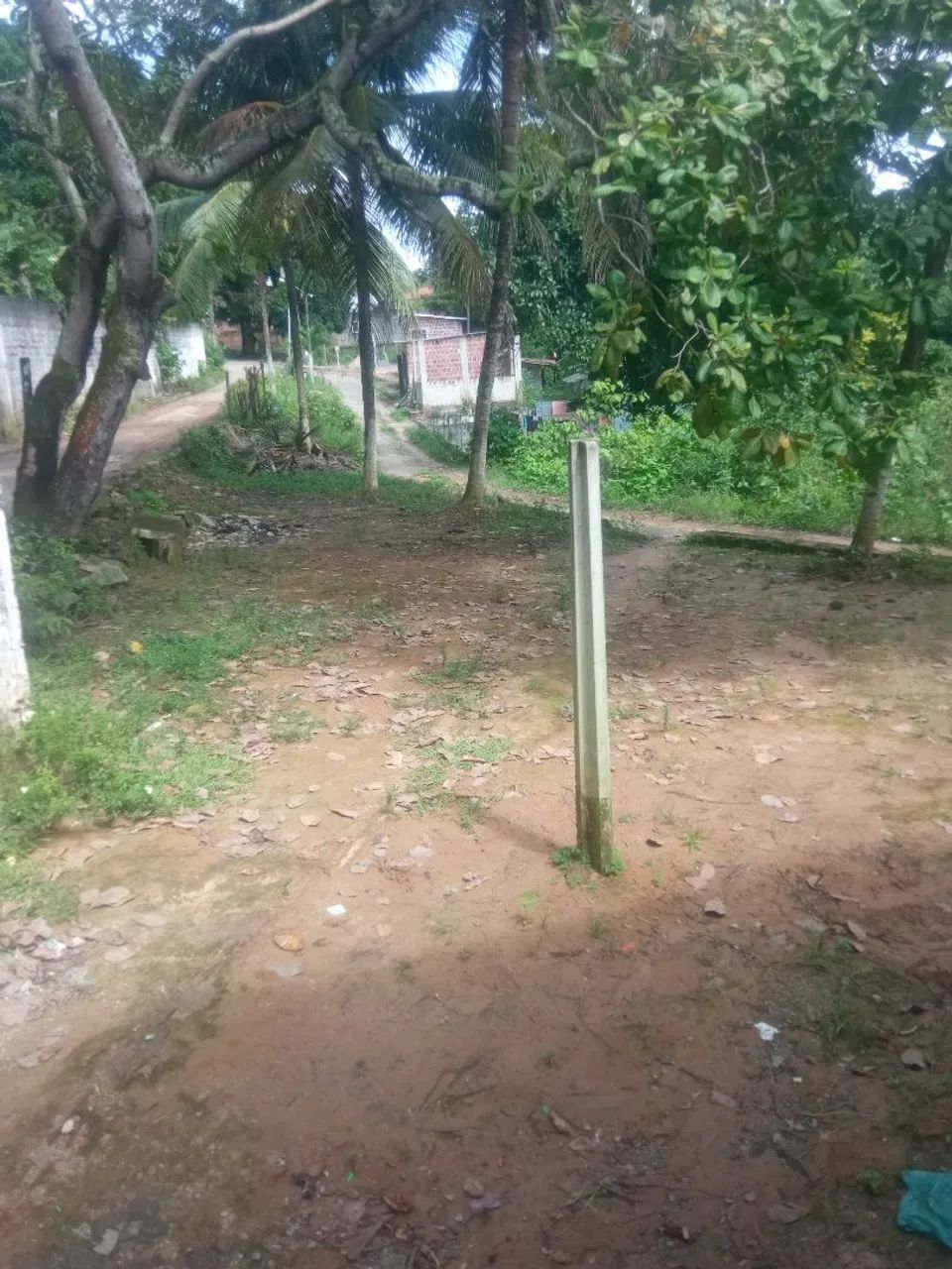 Baixei o valor do Terreno pra vender barato!!! - Foto 2