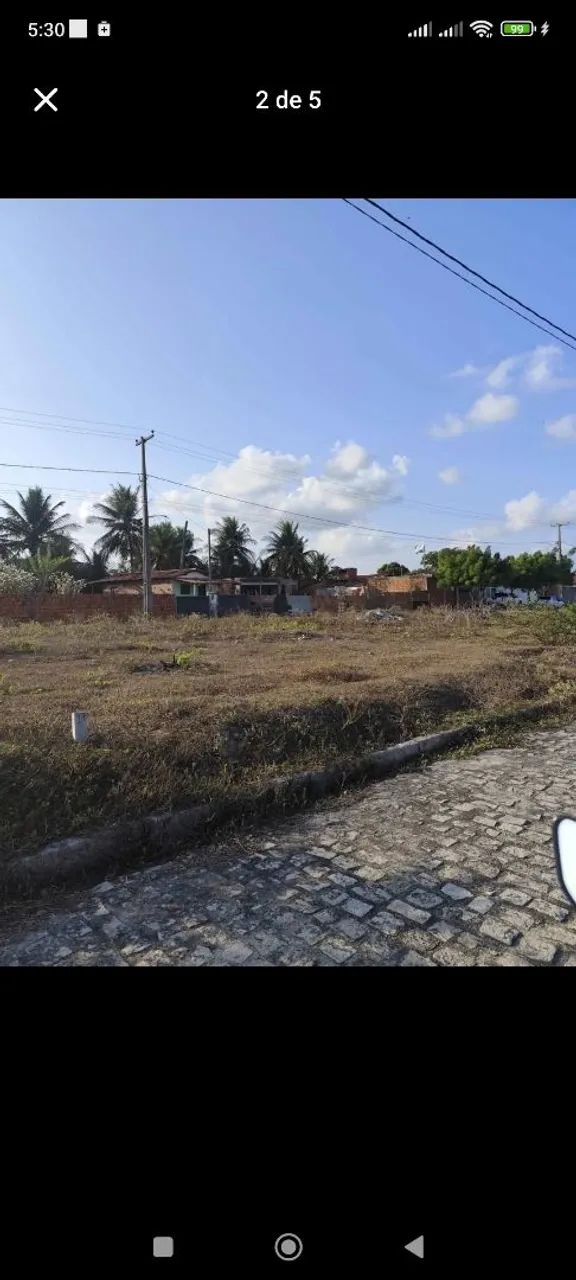 Foto - Monte Alegre - 