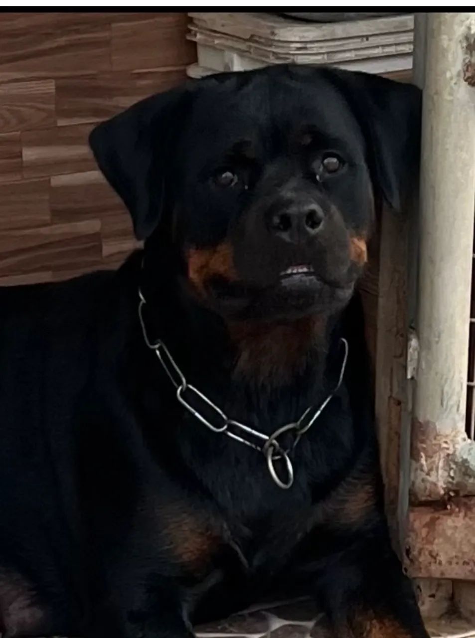 Disponível  - Foto 4