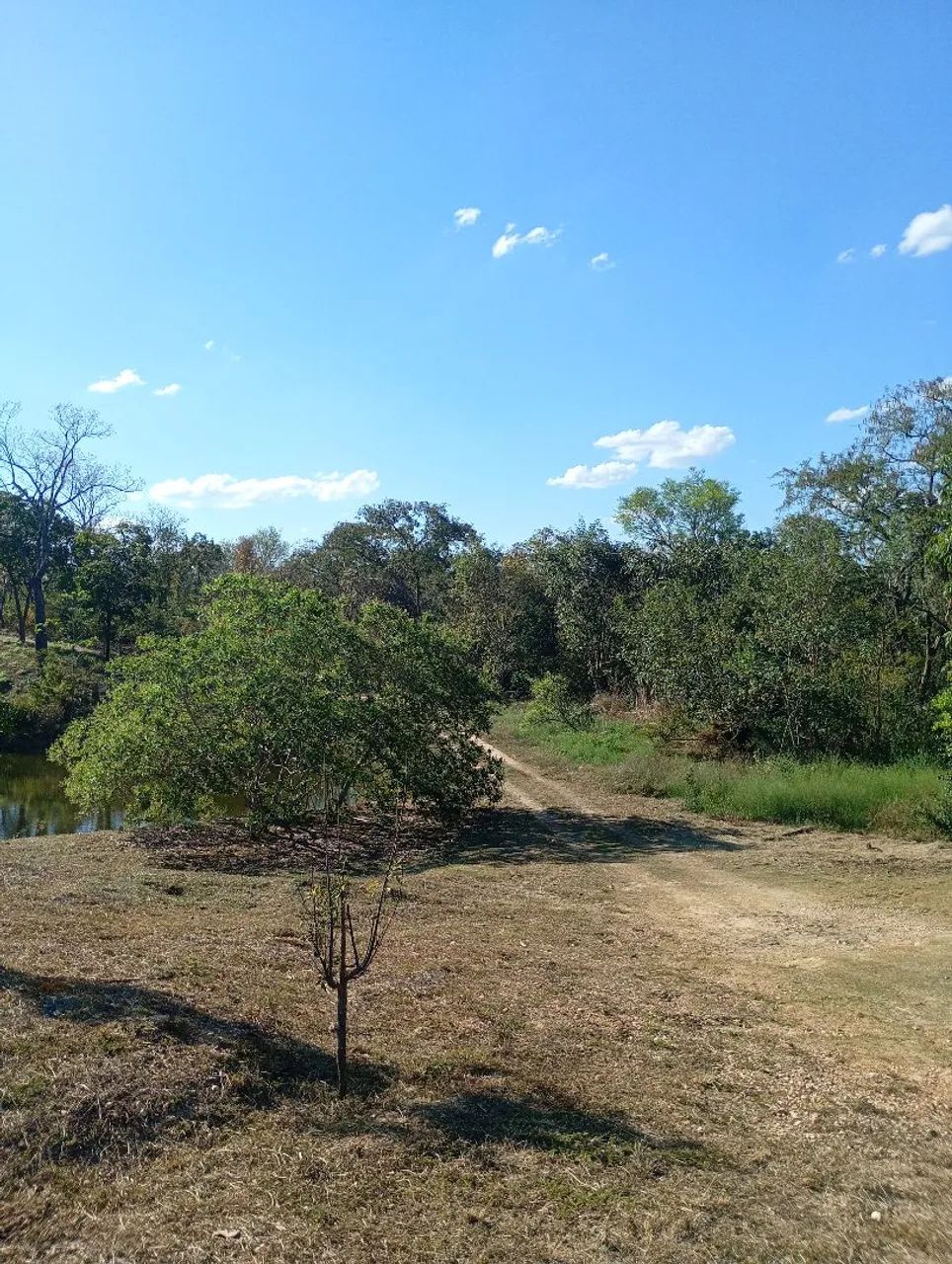 ? Oportunidade Única: Excelente Chácara de 5 Hectares - Foto 3