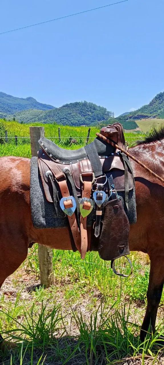 Sela para cavalos  - Foto 2