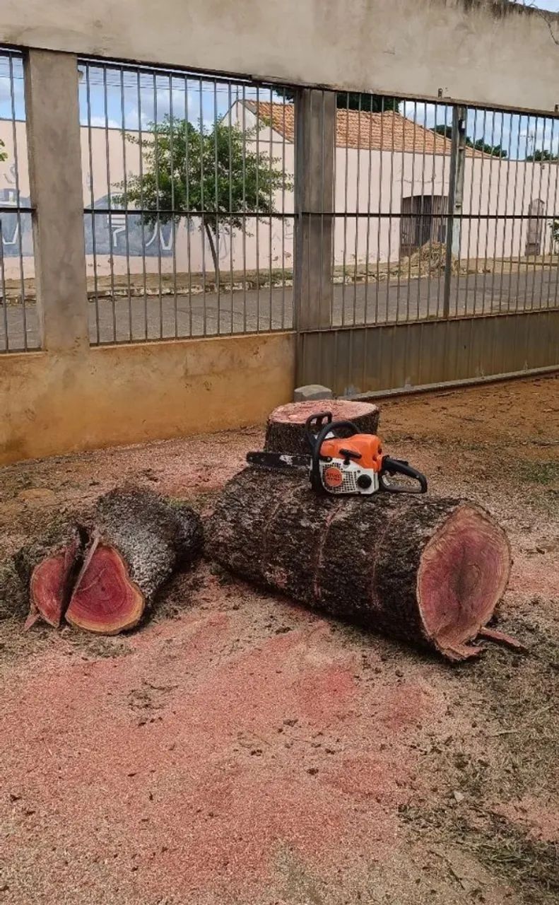 Limpeza de quintal com roçadeira e carretinha - Foto 5