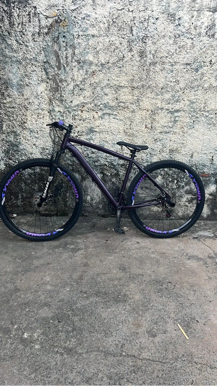 Bike aro 29