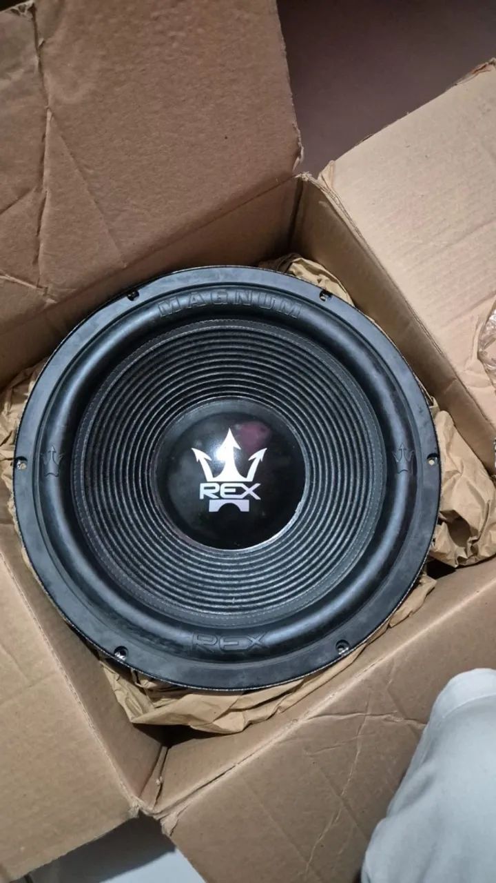 Woofer Magnum Rex 15 Polegadas 1100w Rms 4 Ohms Bobina Simpl
