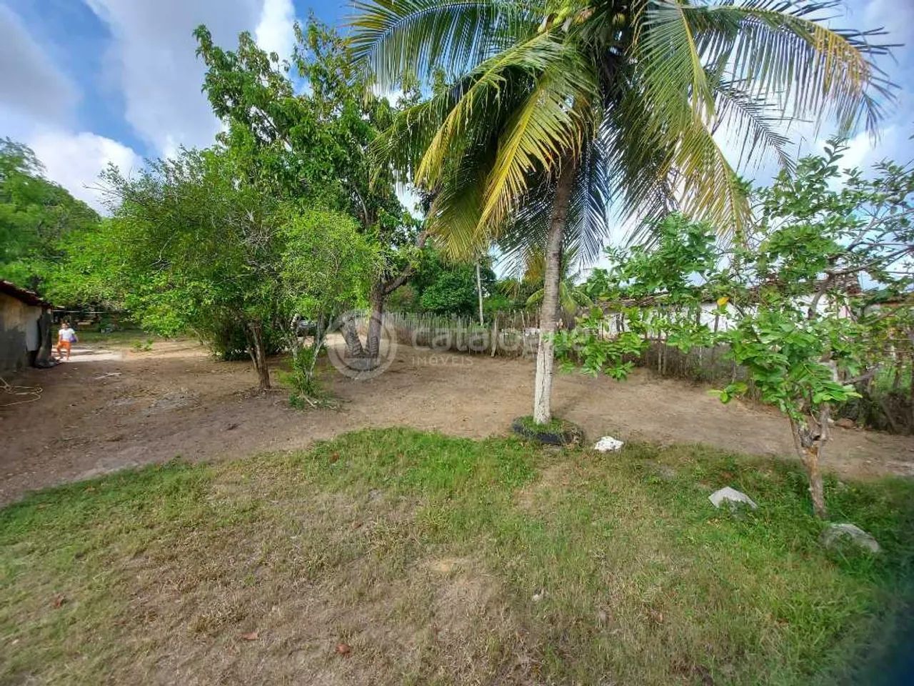 Sitio em São José de Mipibu - Foto 2
