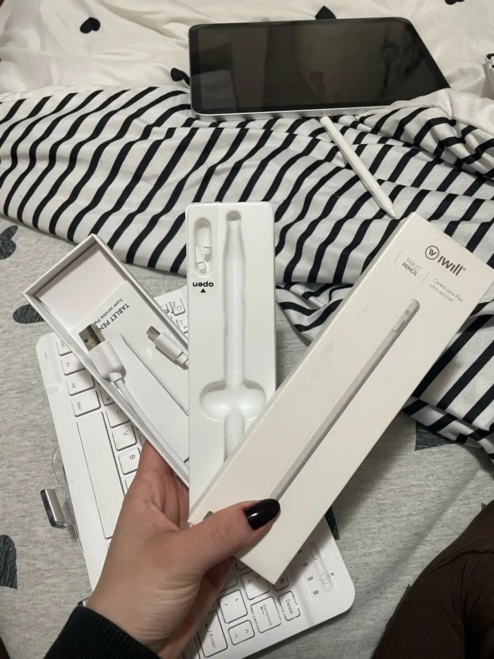 Caneta iPad 