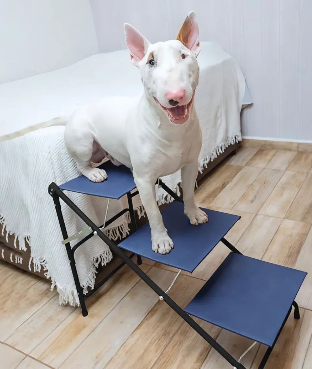 Escada para pet - max 40kg  - Foto 4