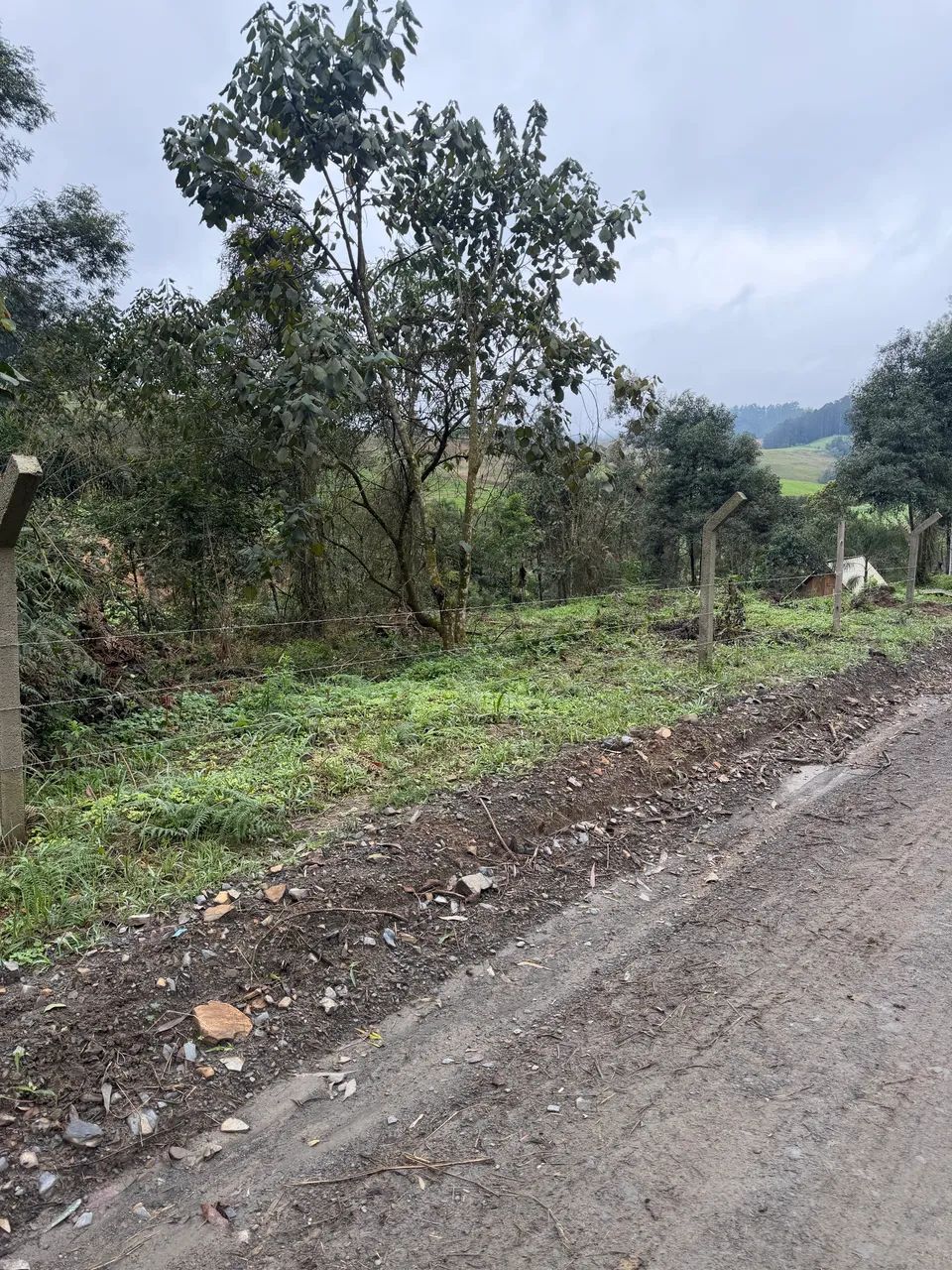 Terreno com nascente 