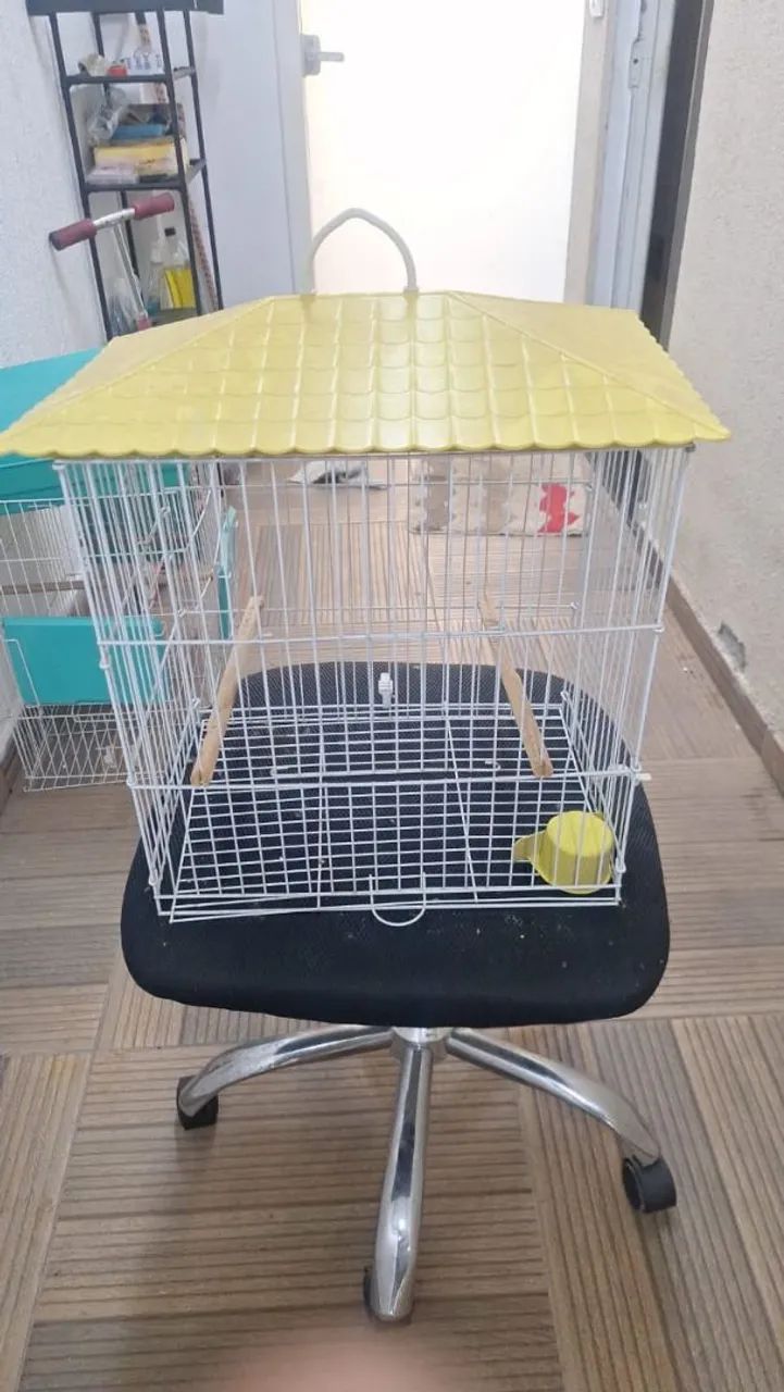 Gaiola  - Foto 2