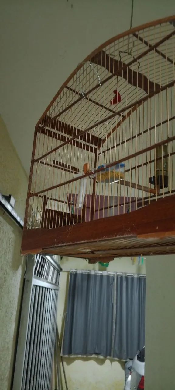 Gaiolas  - Foto 3