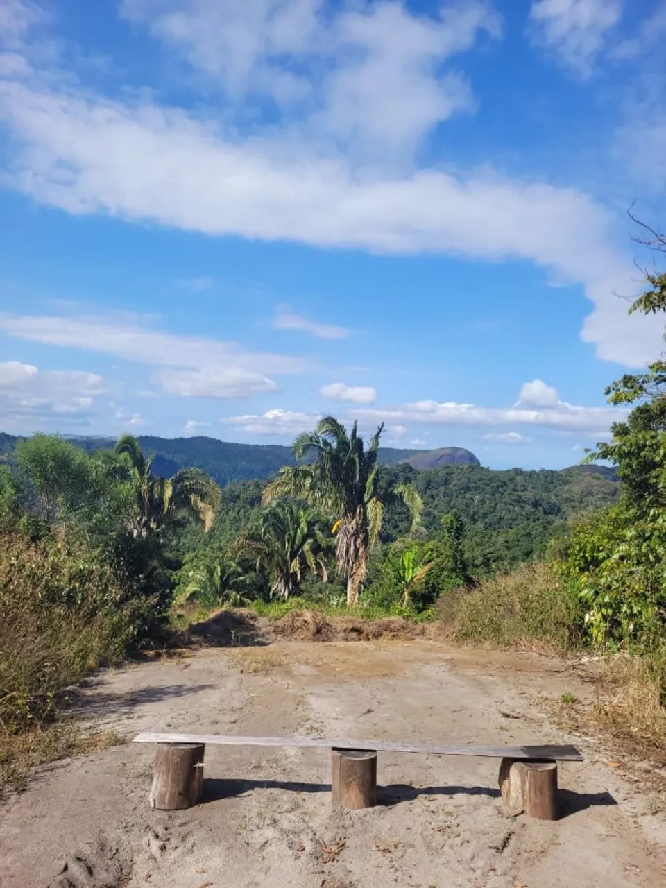 20.000m2 com cafezal em S. Teresa - direto c prop