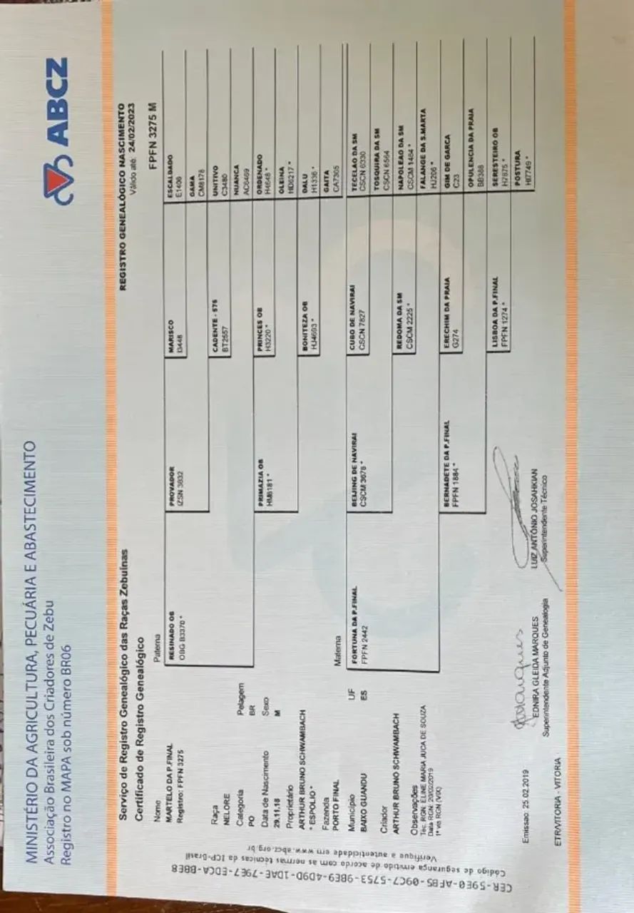 Touro Nelore PO REGISTRADO - Manso, Reprodutor de Elite - Foto 4